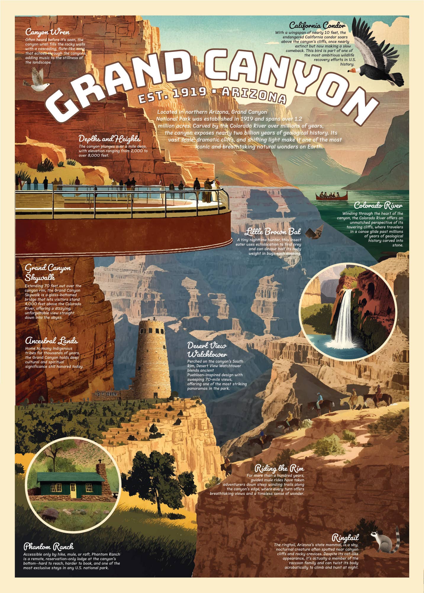 123 Farm - Grand Canyon Puzzle – 500 Pc Tube with Vintage Illustrations