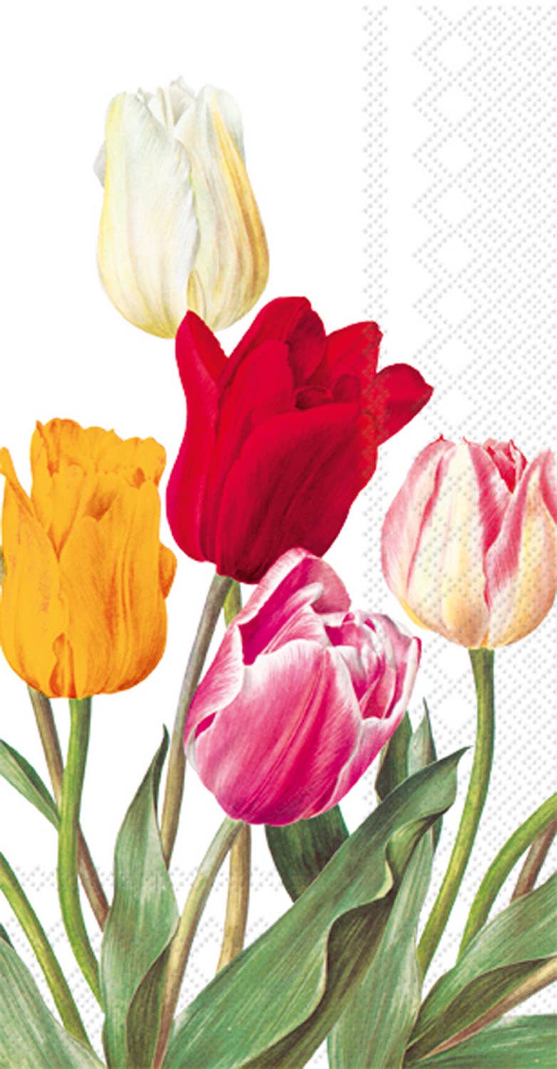 Paper Guest Towels 16 count Tulips White