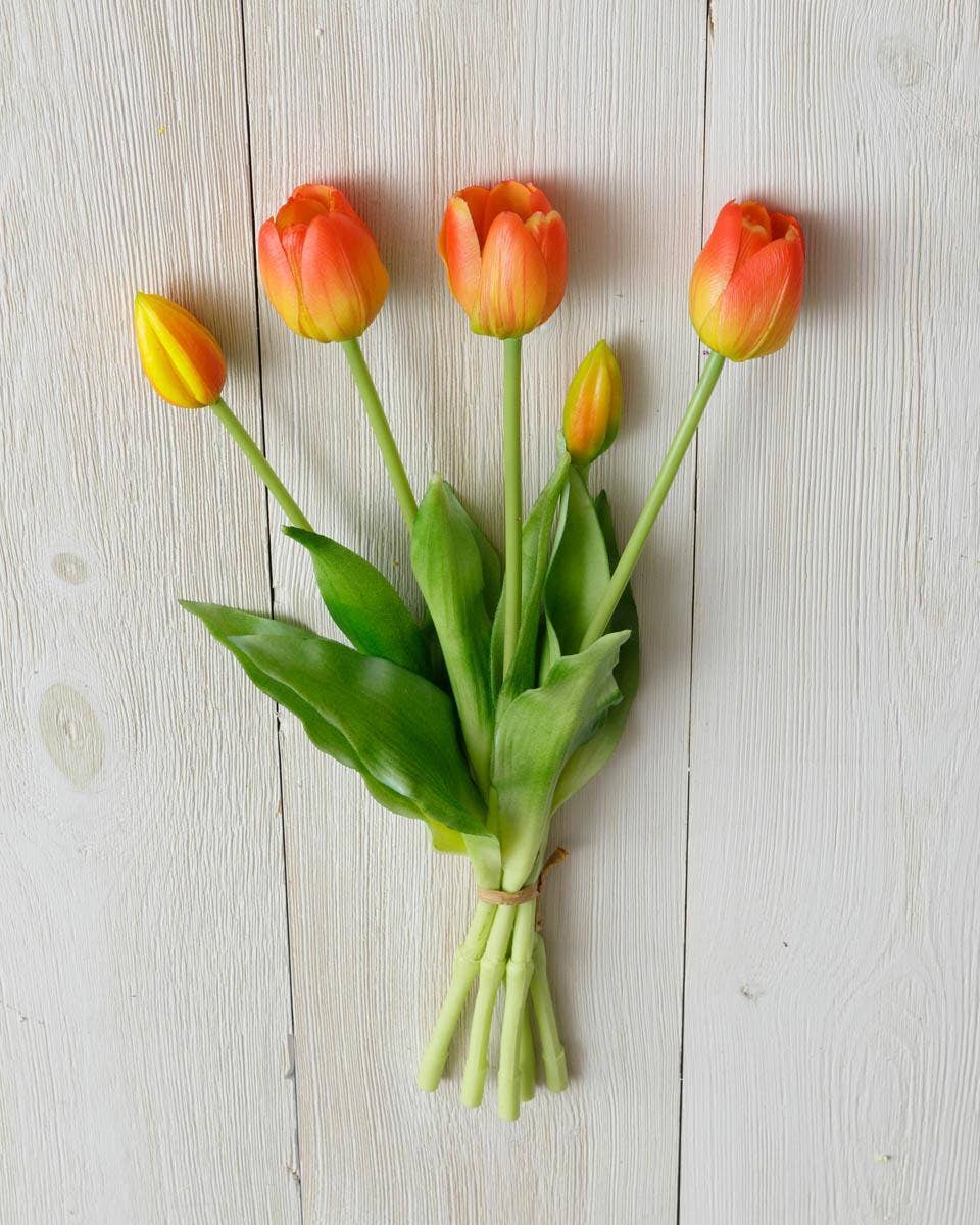 Bunch - Real Feel Tulip, Tangerine