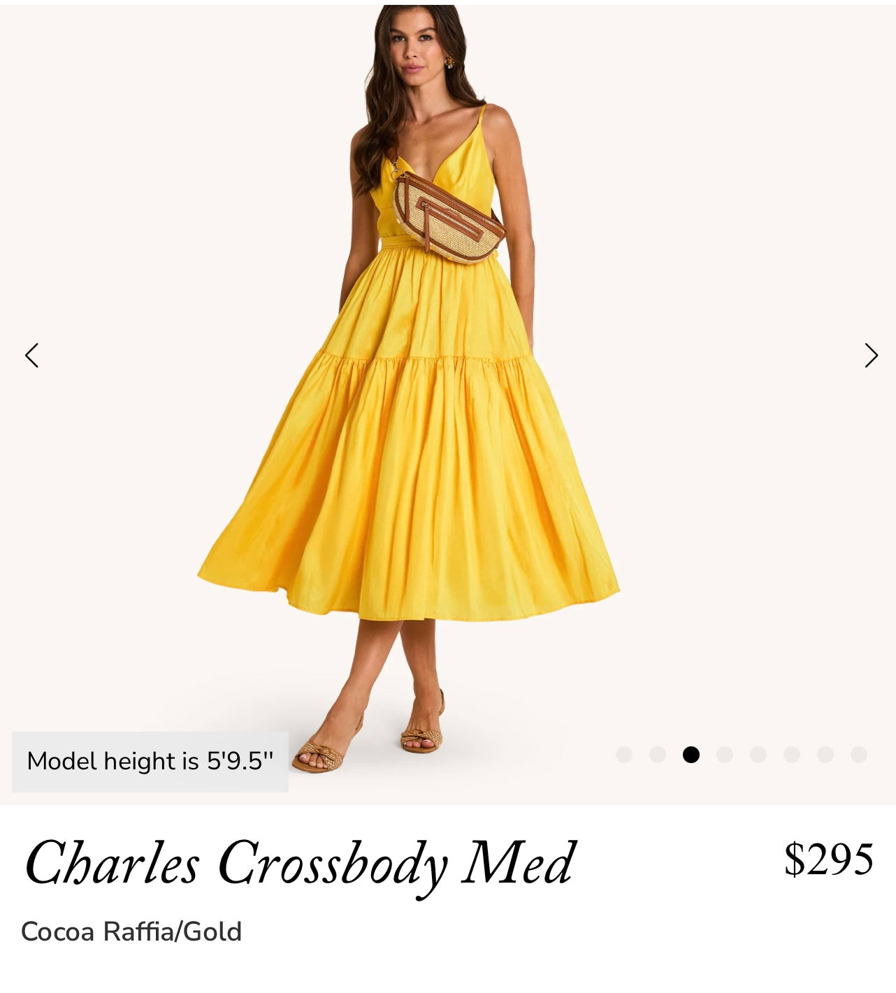 Hammitt Charles Crossbody Med-Cocoa Raffia