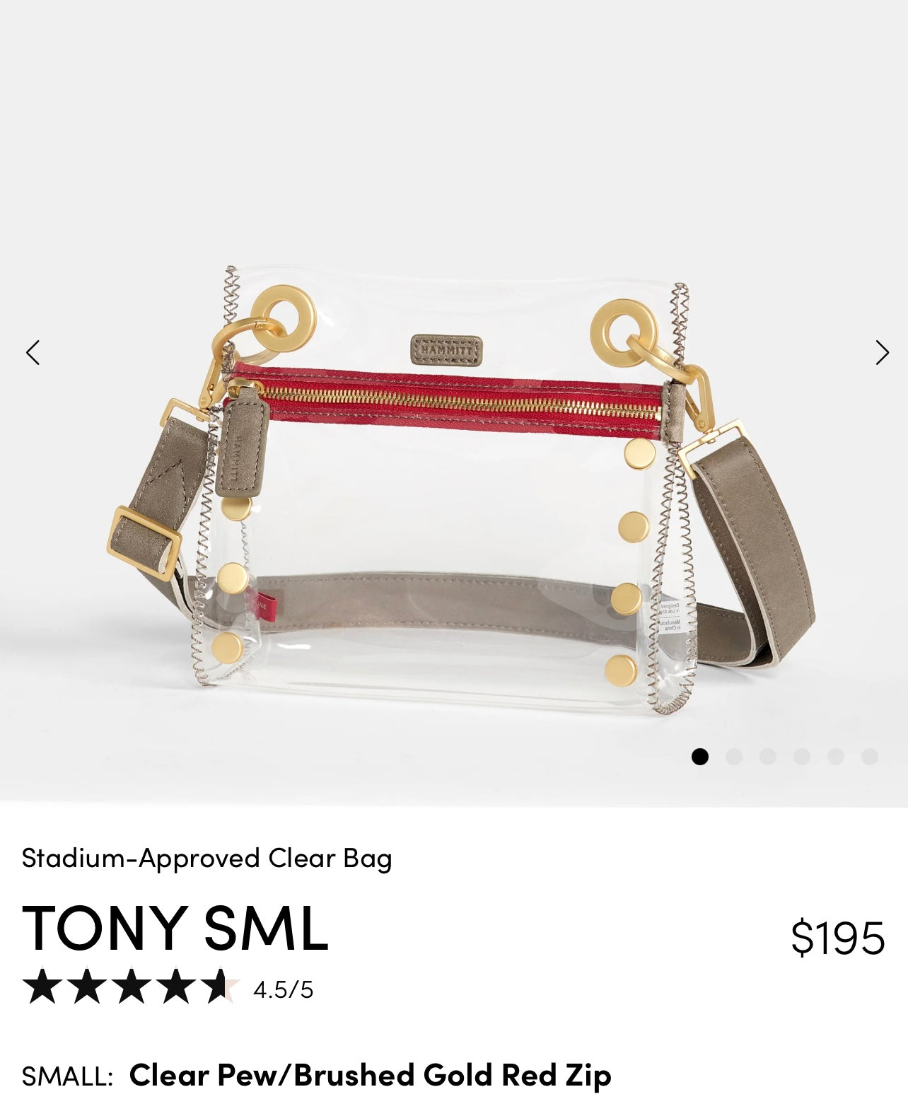 Hammitt Tony small clear pewter red zipper