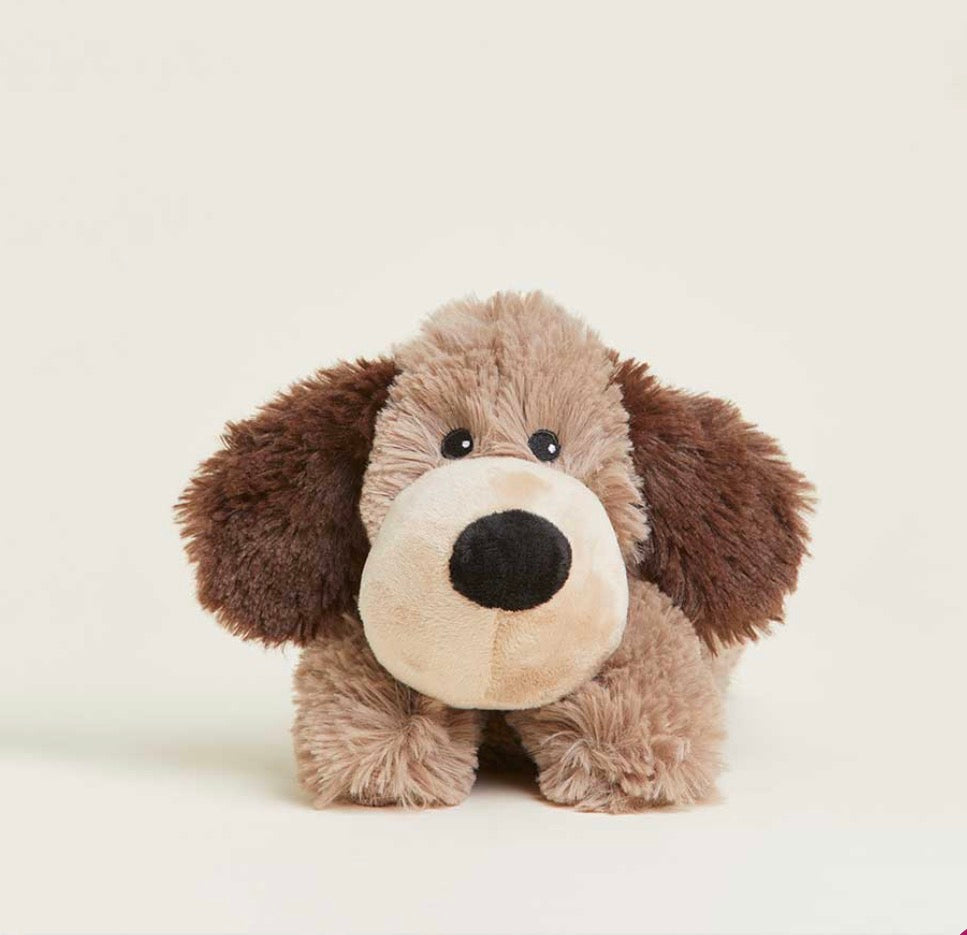 Brown dog Warmie