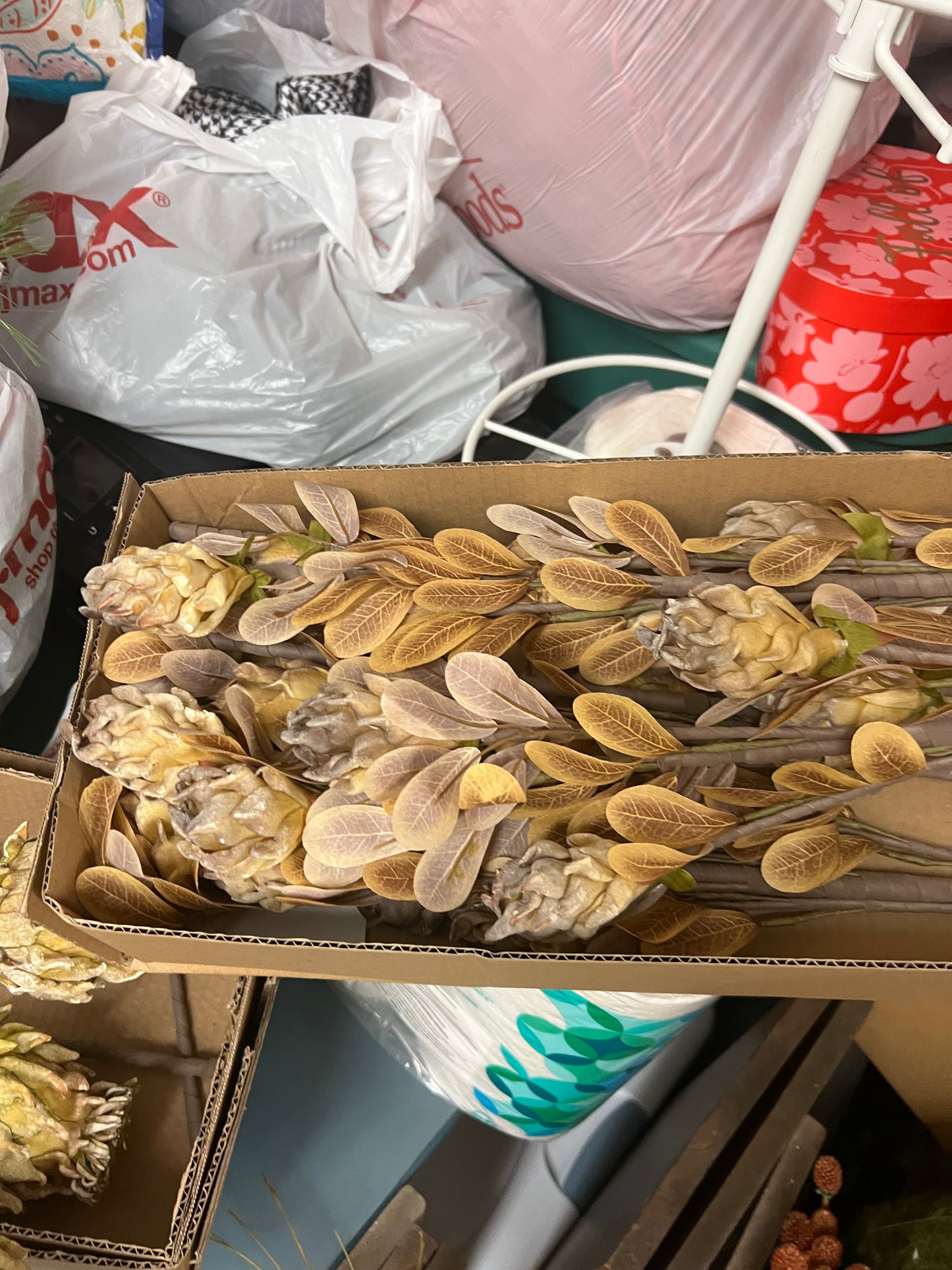 Pine Cone Flower Stem