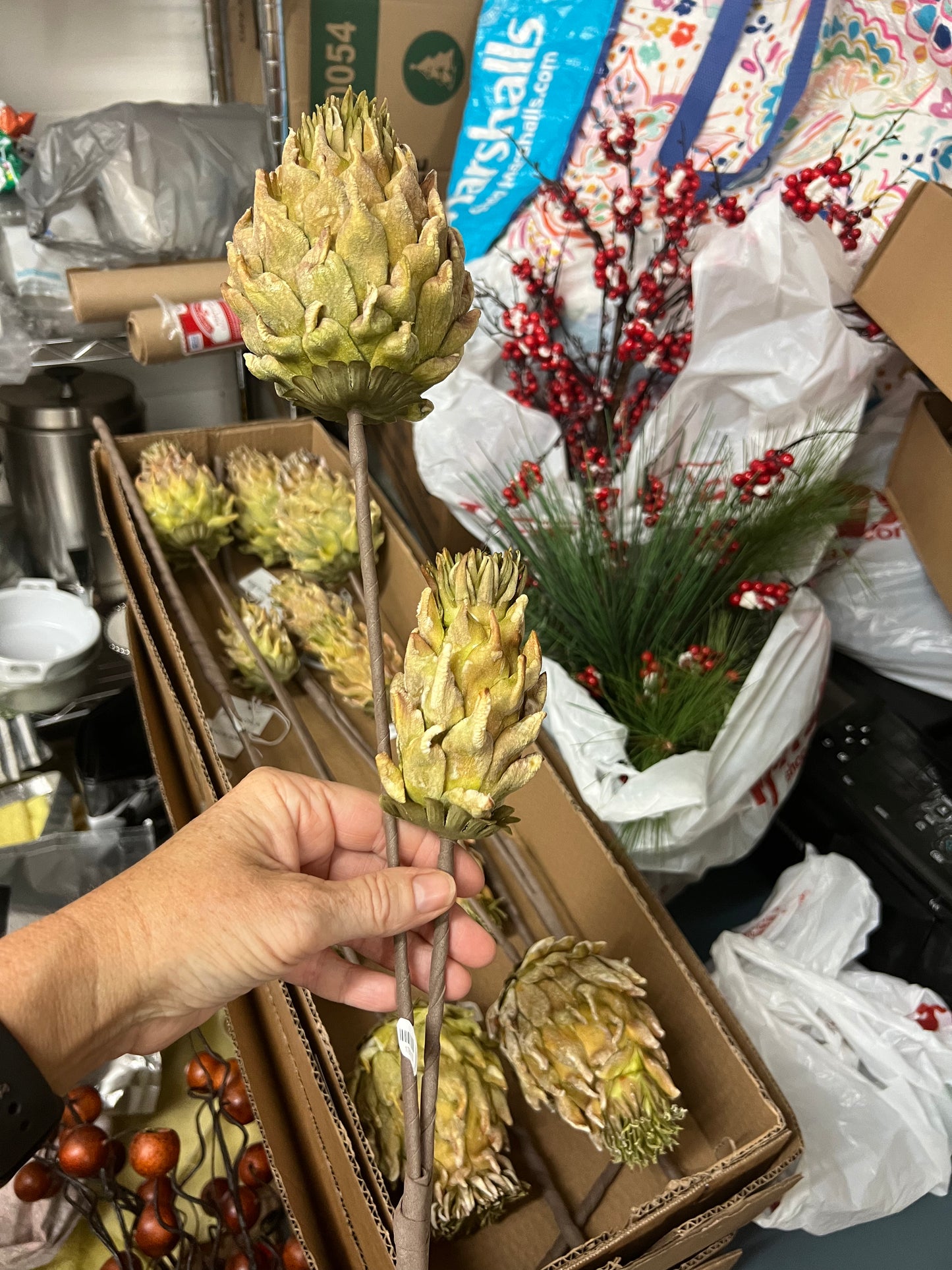 Artichoke Flower Stem