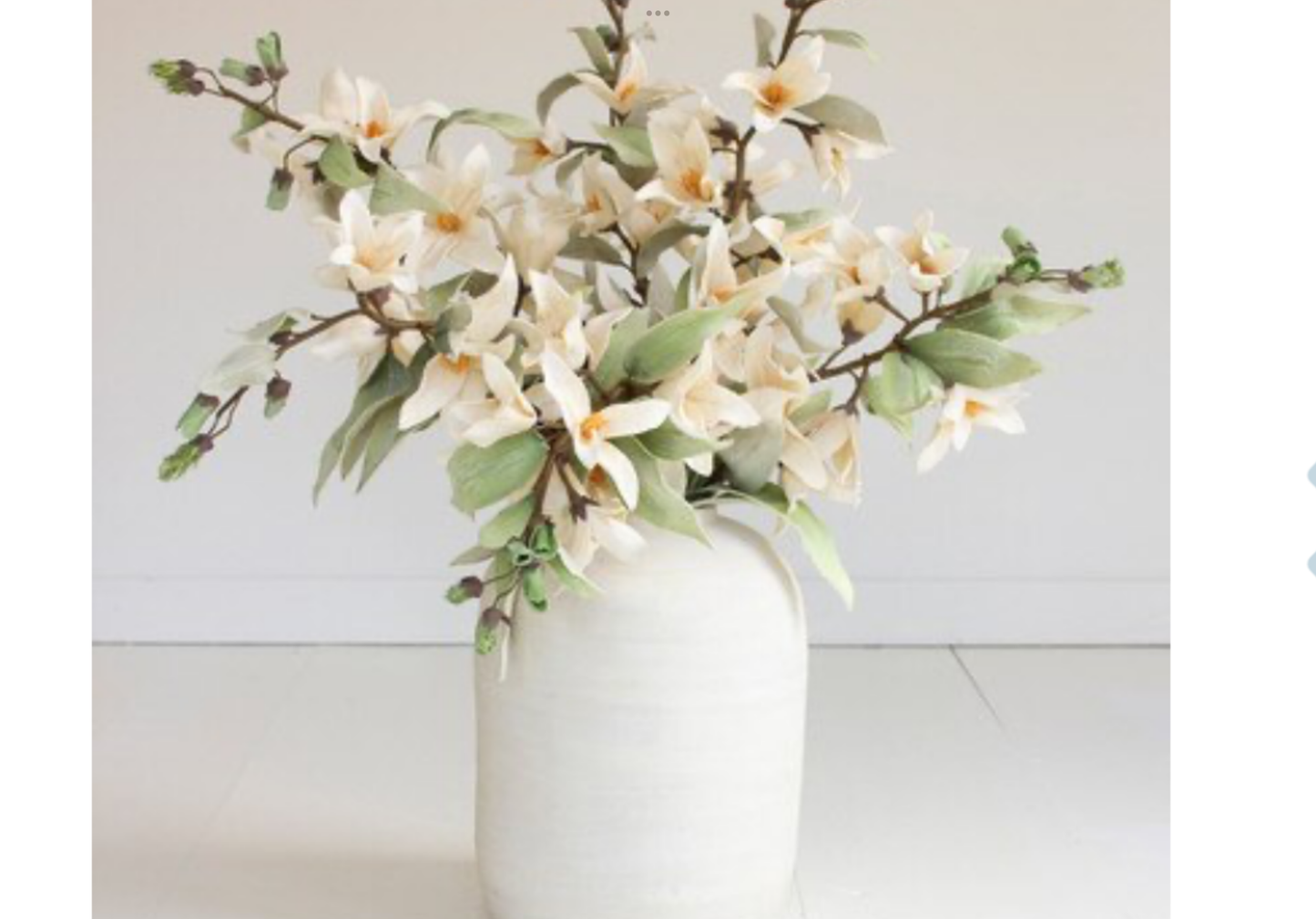 White Dogwood Stem