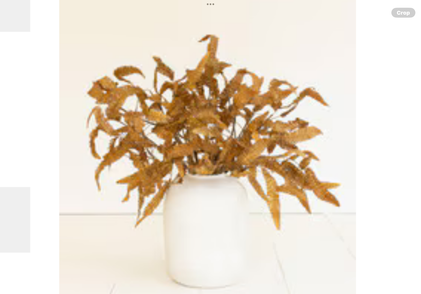 Golden Fern Stem