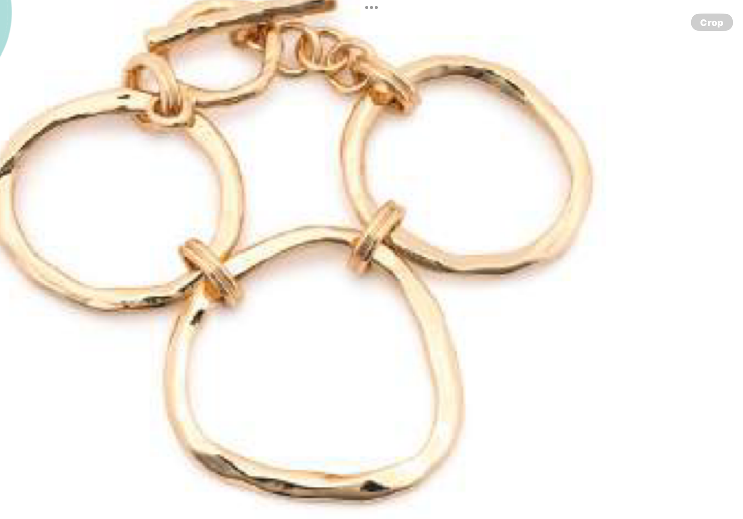 Leslie Curtis Darby Hammered Gold Links Bracelet