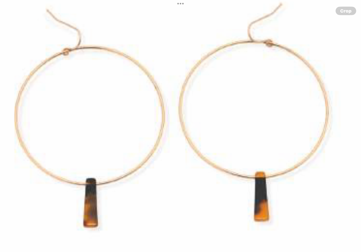 Leslie Curtis Graham Thin Gold Hoop with Tortoise Slab Earrings