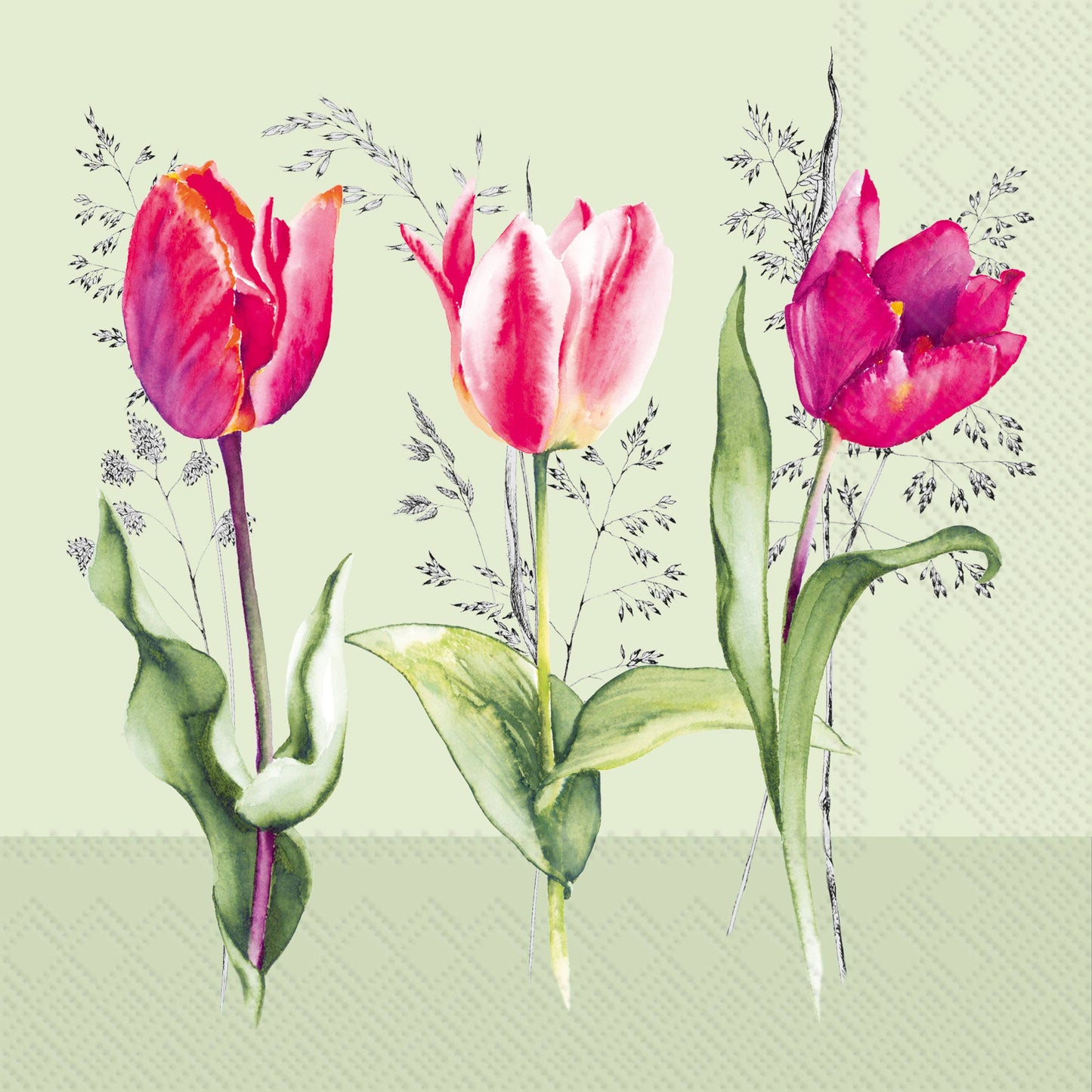 Paper Cocktail Napkins 20 Ct Tulip Beauties Light Green