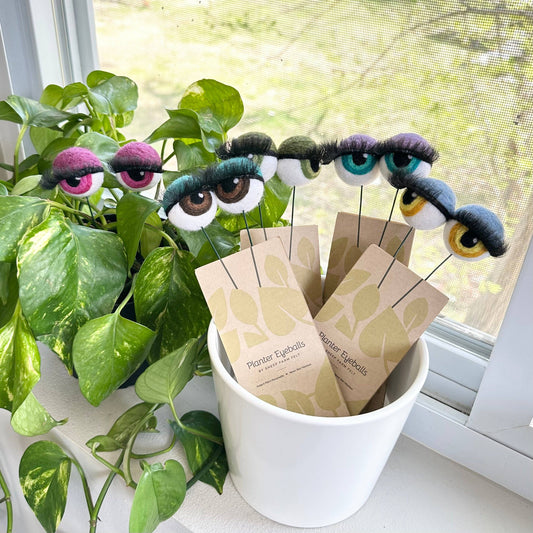 Felt Planter Eyeballs with Eyelashes : Pink