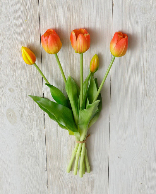 Bunch - Real Feel Tulip, Tangerine