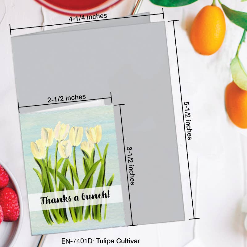 Tulipa Cultivar, Greeting Card (#7401D): A2 Card