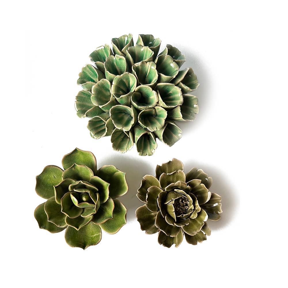 Ceramic Faux Succulents - Flower Gift Box Sets: Dawn