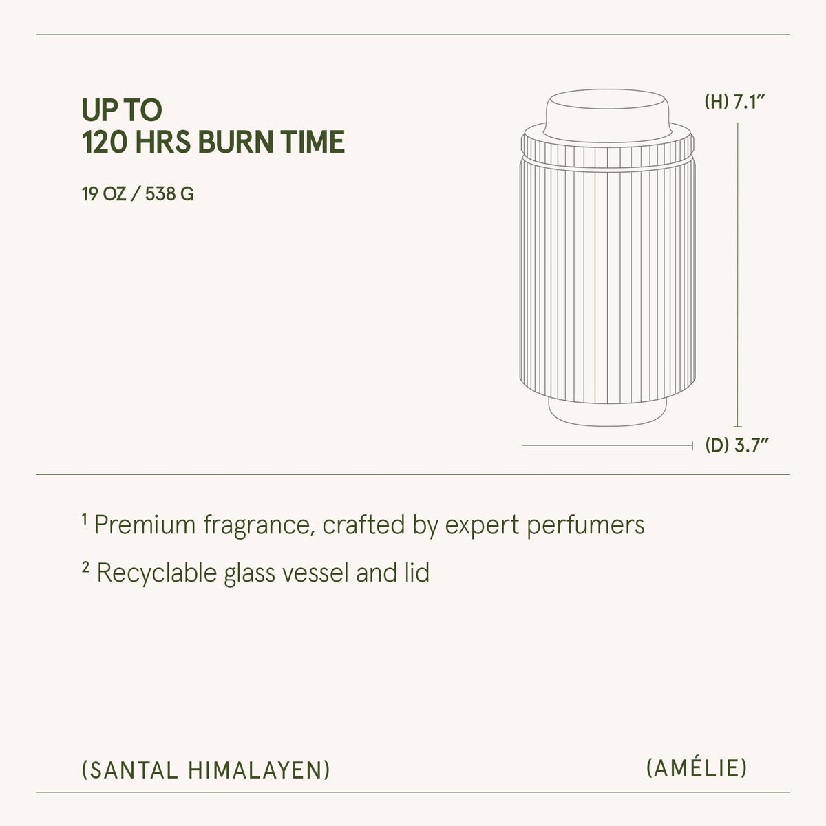 La Jolie Muse - Scented Candle - Santal Himalayen - 19oz | La Jolie Muse