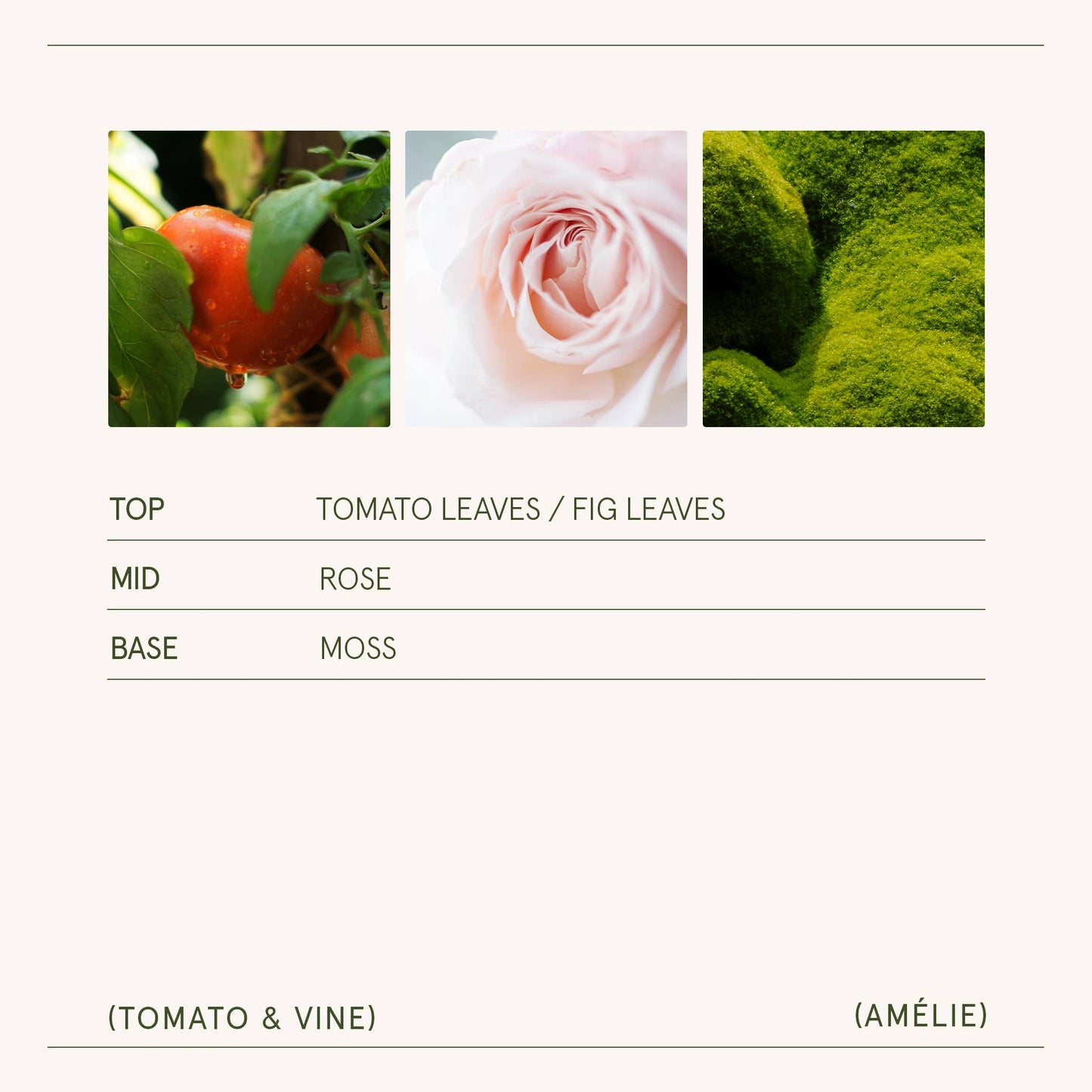 La Jolie Muse / Scented Candle - Tomato & Vine - 7oz
