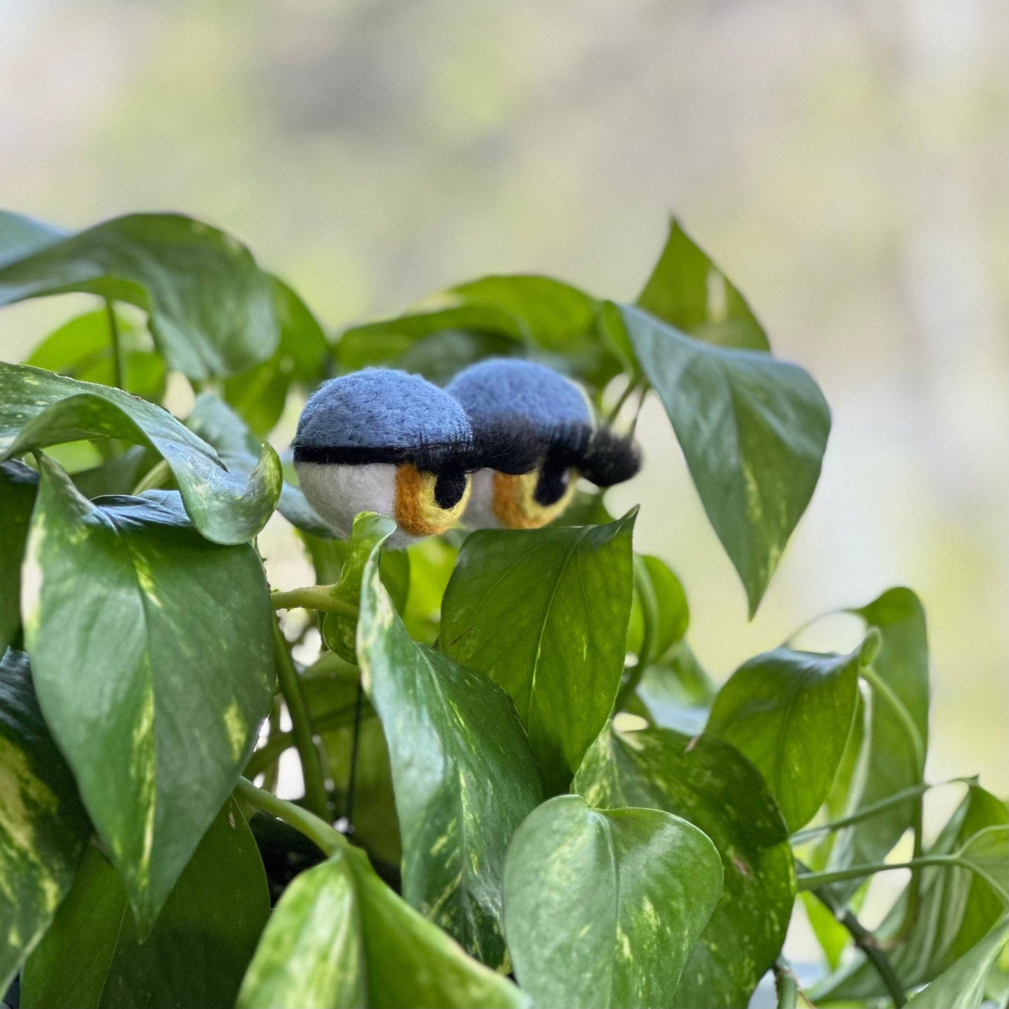 Felt Planter Eyeballs with Eyelashes : Sage
