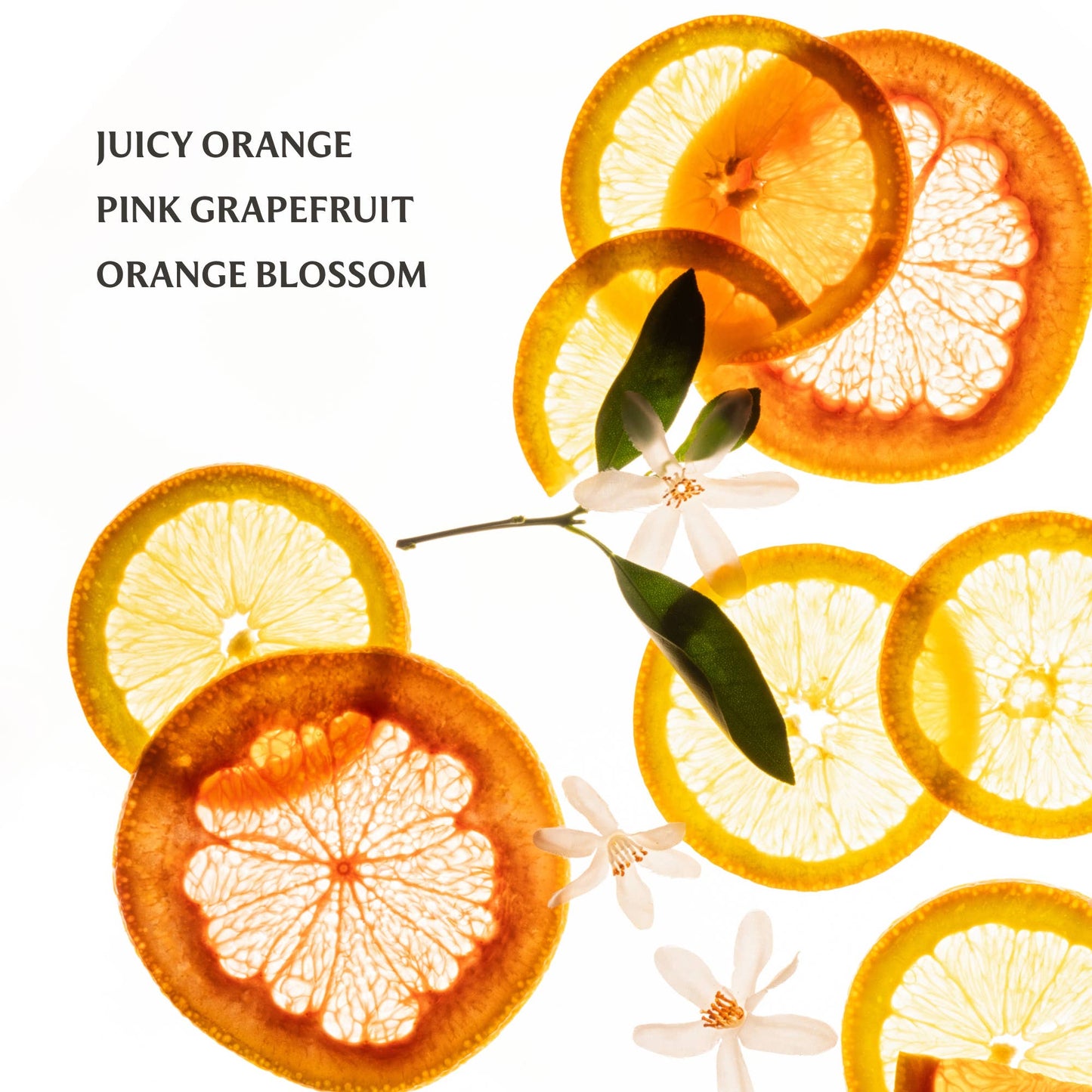 Citrus Grove Power Mist Hydrating Hand Sanitizer