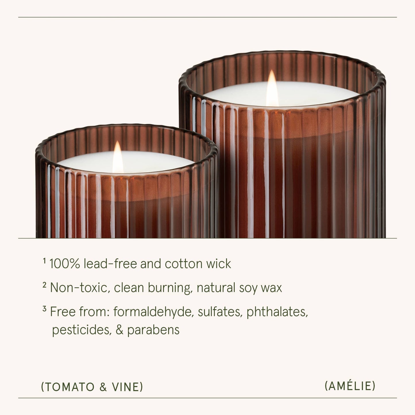 Scented Candle - Tomato & Vine - 19oz | La Jolie Muse