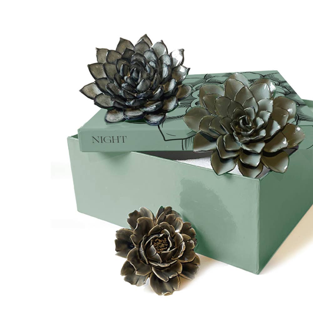 Ceramic Faux Succulents - Flower Gift Box Sets: Dawn