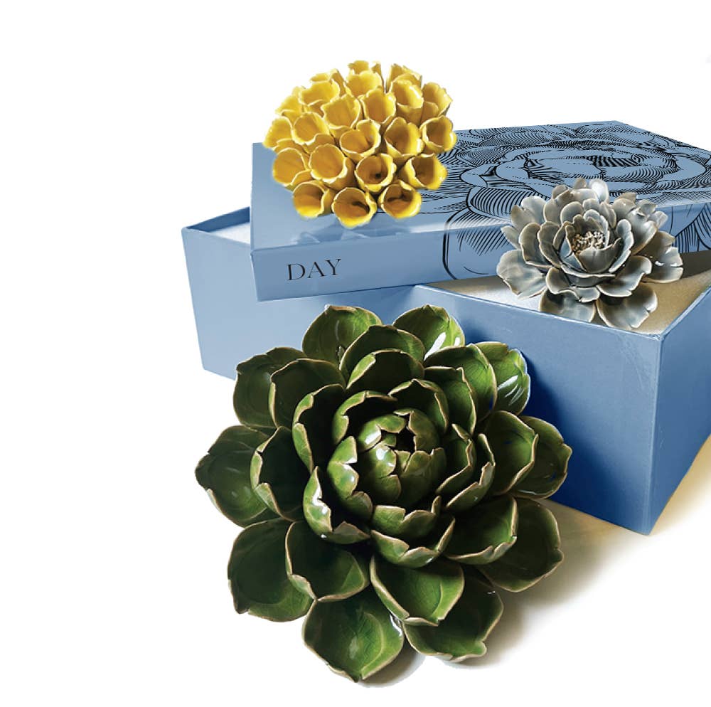 Ceramic Faux Succulents - Flower Gift Box Sets: Dawn