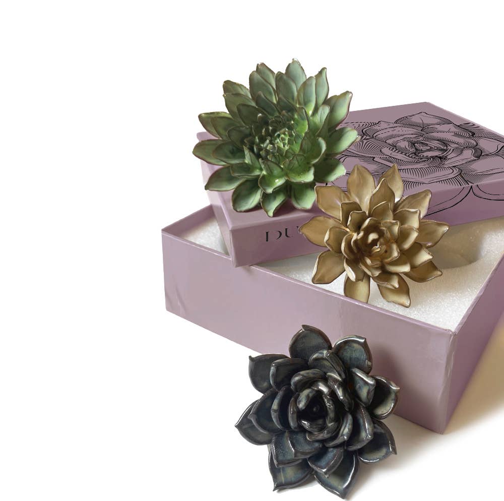 Ceramic Faux Succulents - Flower Gift Box Sets: Dawn