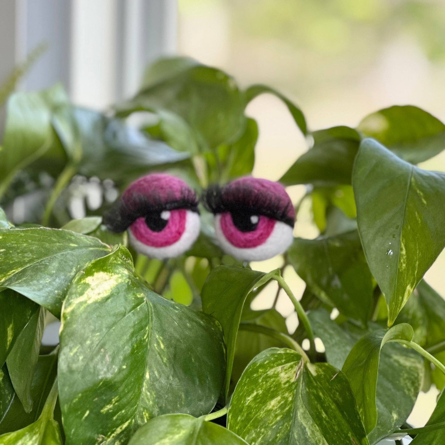 Felt Planter Eyeballs with Eyelashes : Sage