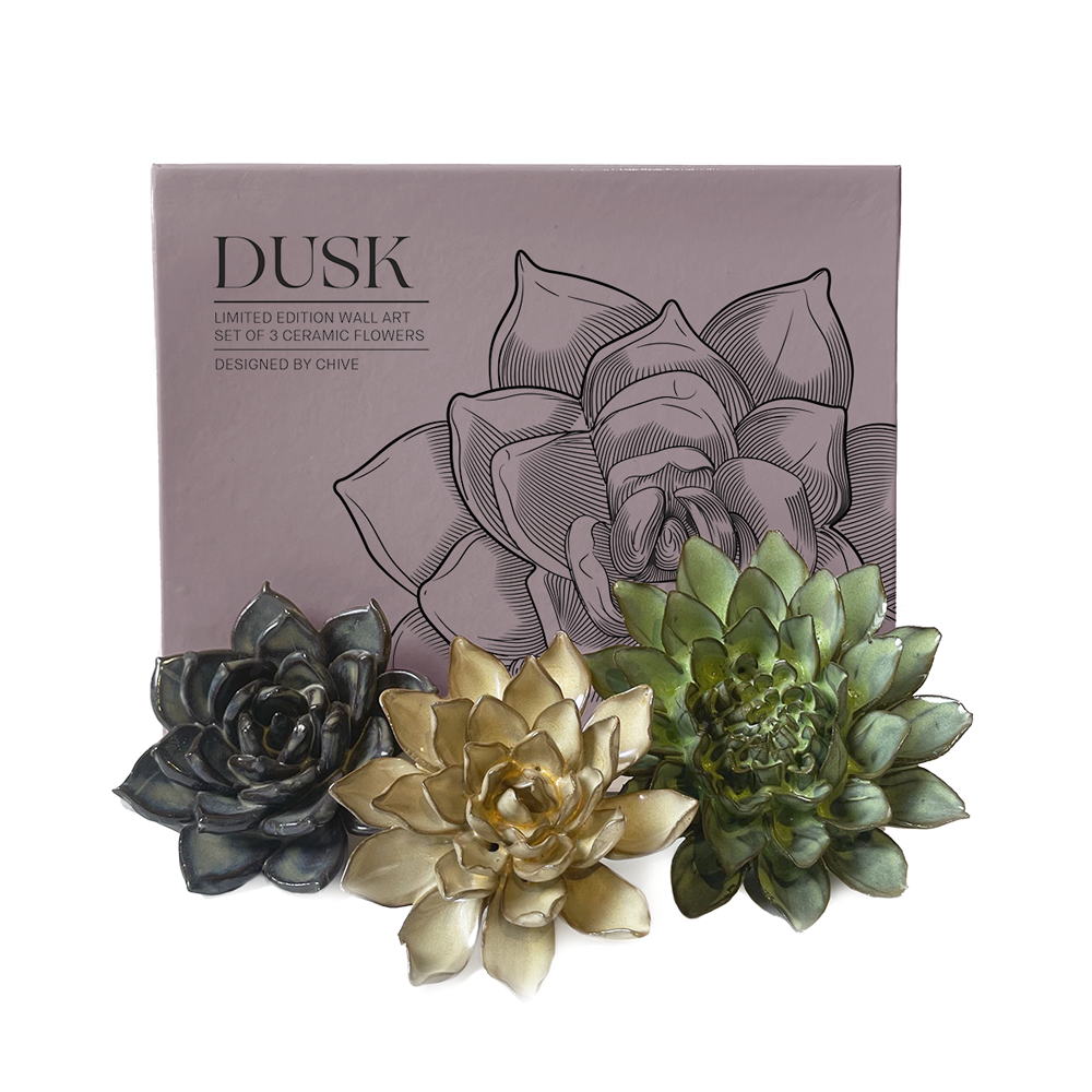 Ceramic Faux Succulents - Flower Gift Box Sets: Dawn