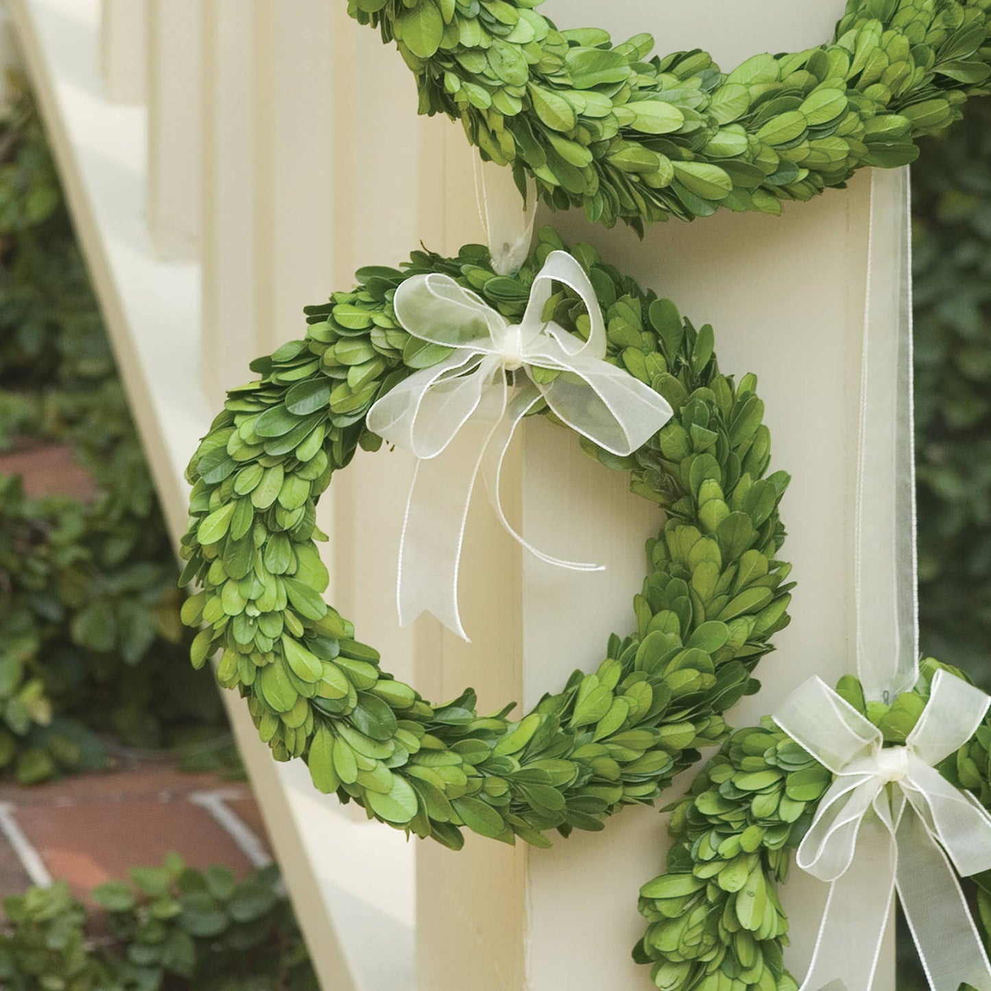 Boxwood Wreath Medium