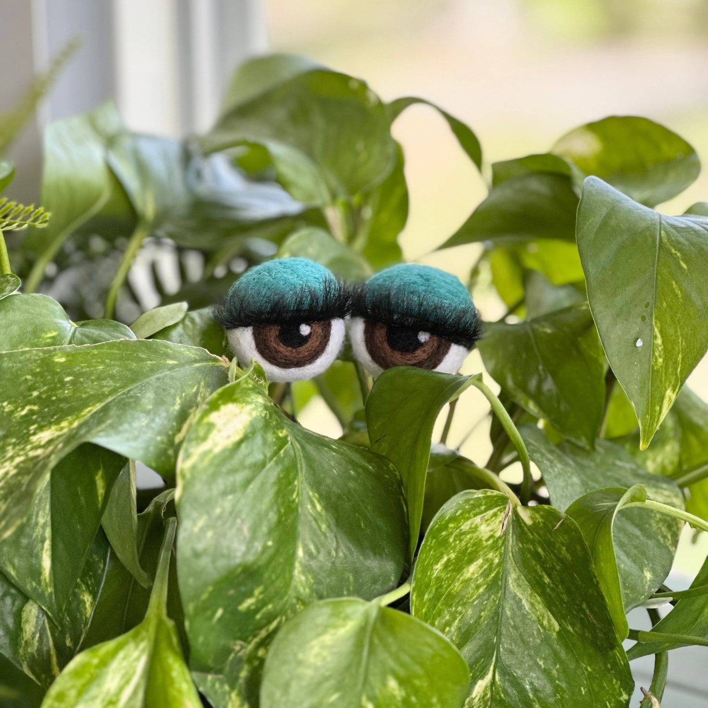 Felt Planter Eyeballs with Eyelashes : Sage