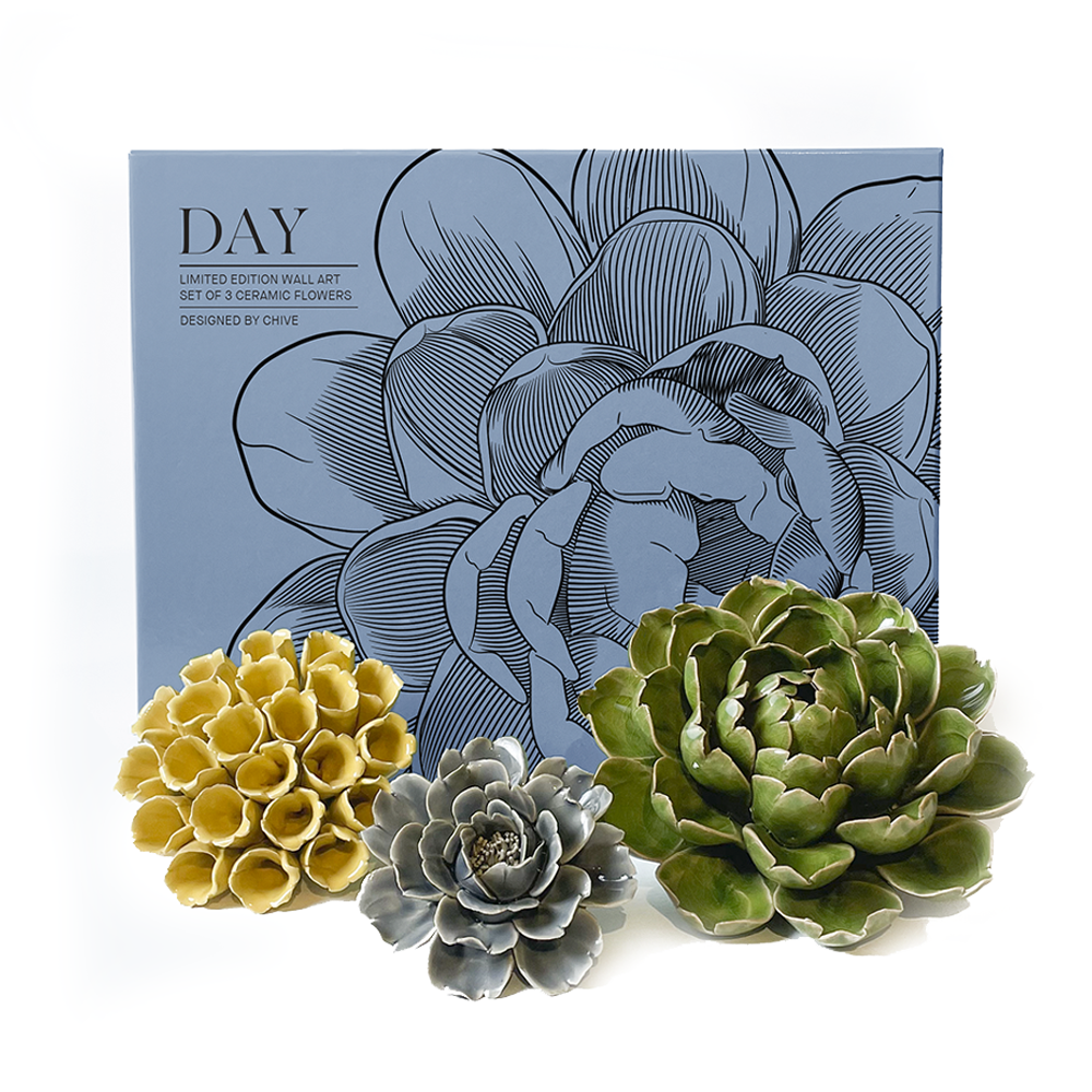 Ceramic Faux Succulents - Flower Gift Box Sets: Dawn