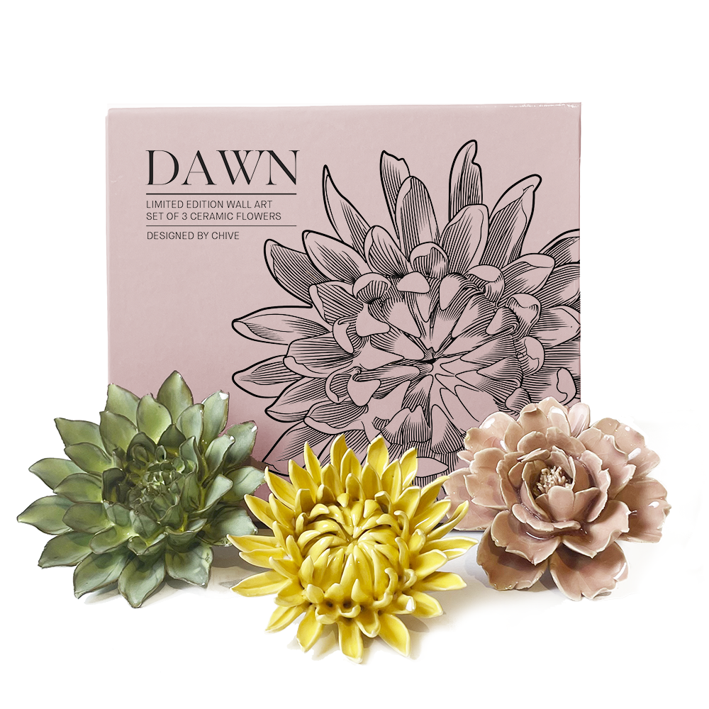 Ceramic Faux Succulents - Flower Gift Box Sets: Dawn