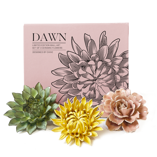 Ceramic Faux Succulents - Flower Gift Box Sets: Dawn