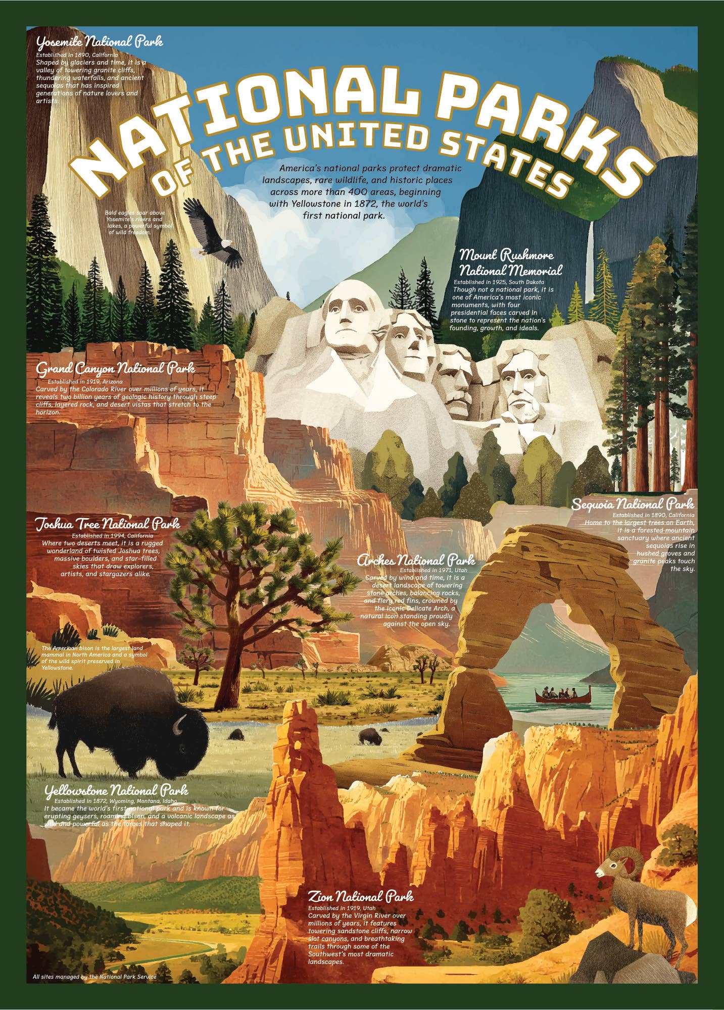 123 Farm - National Parks Puzzle – 500 Pc Tube with Illustrations
