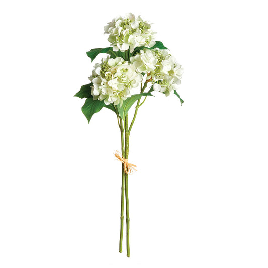 Hydrangea Stems