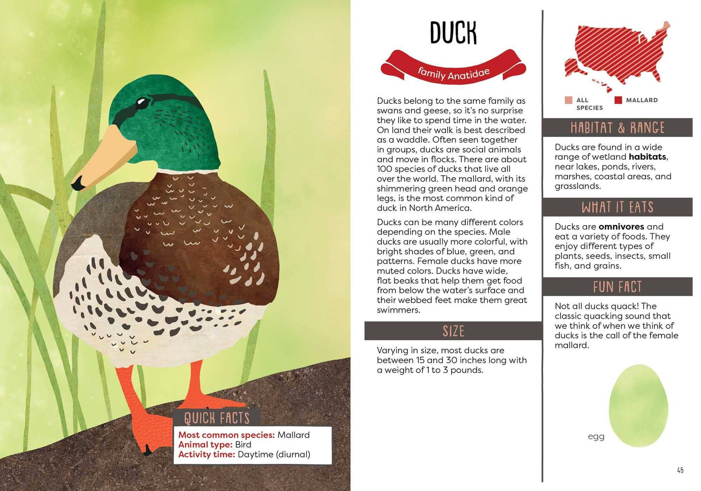 Kid's Guide to Backyard Animals