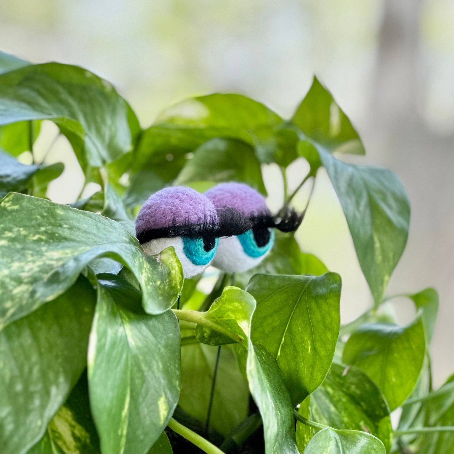Felt Planter Eyeballs with Eyelashes : Sage