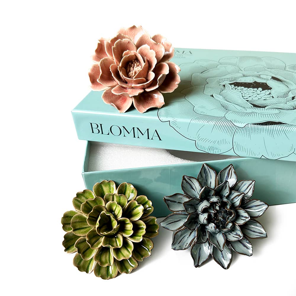 Ceramic Faux Succulents - Flower Gift Box Sets: Dawn