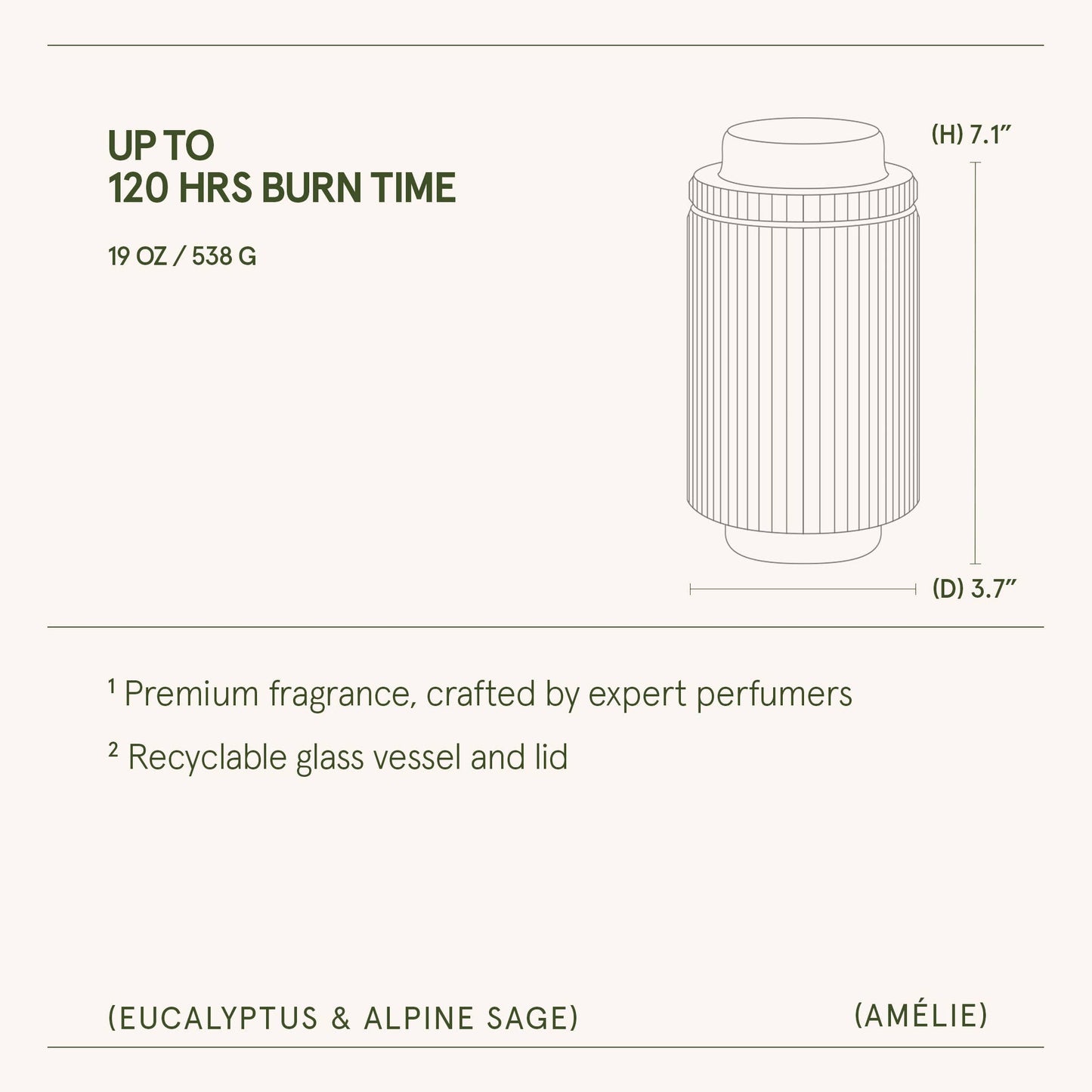 La Jolie Muse Eucalyptus & Alpine Sage - 19oz Candle