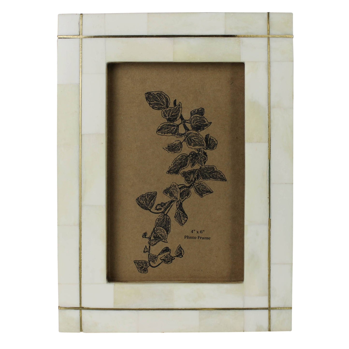 Bone with Brass Grid Frame - 4x6