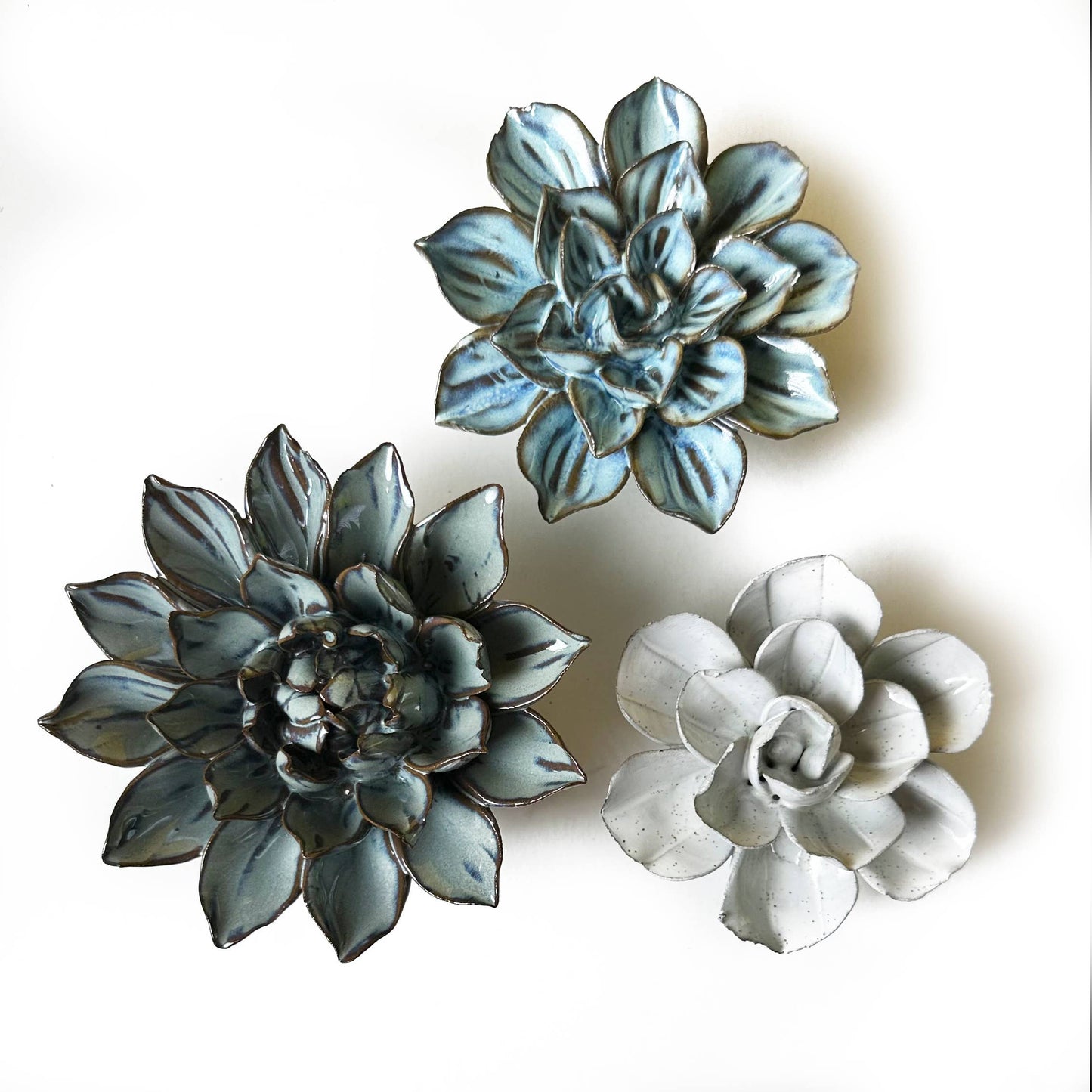 Ceramic Faux Succulents - Flower Gift Box Sets: Dawn