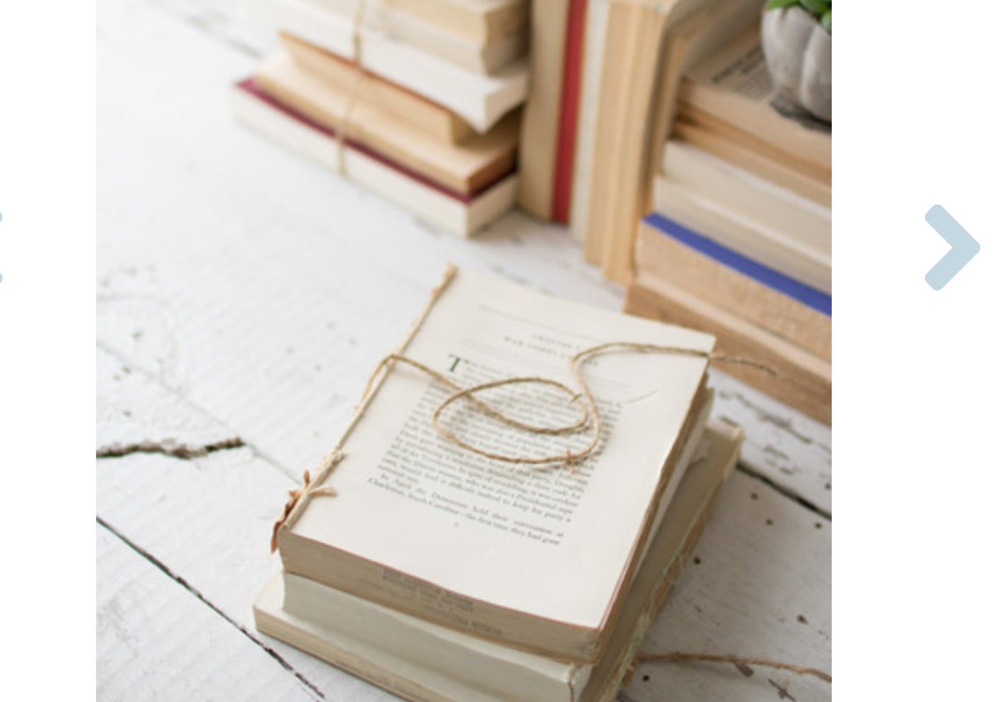 Repurposed Book Bundle