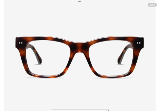 COSMO READERS Tortoise