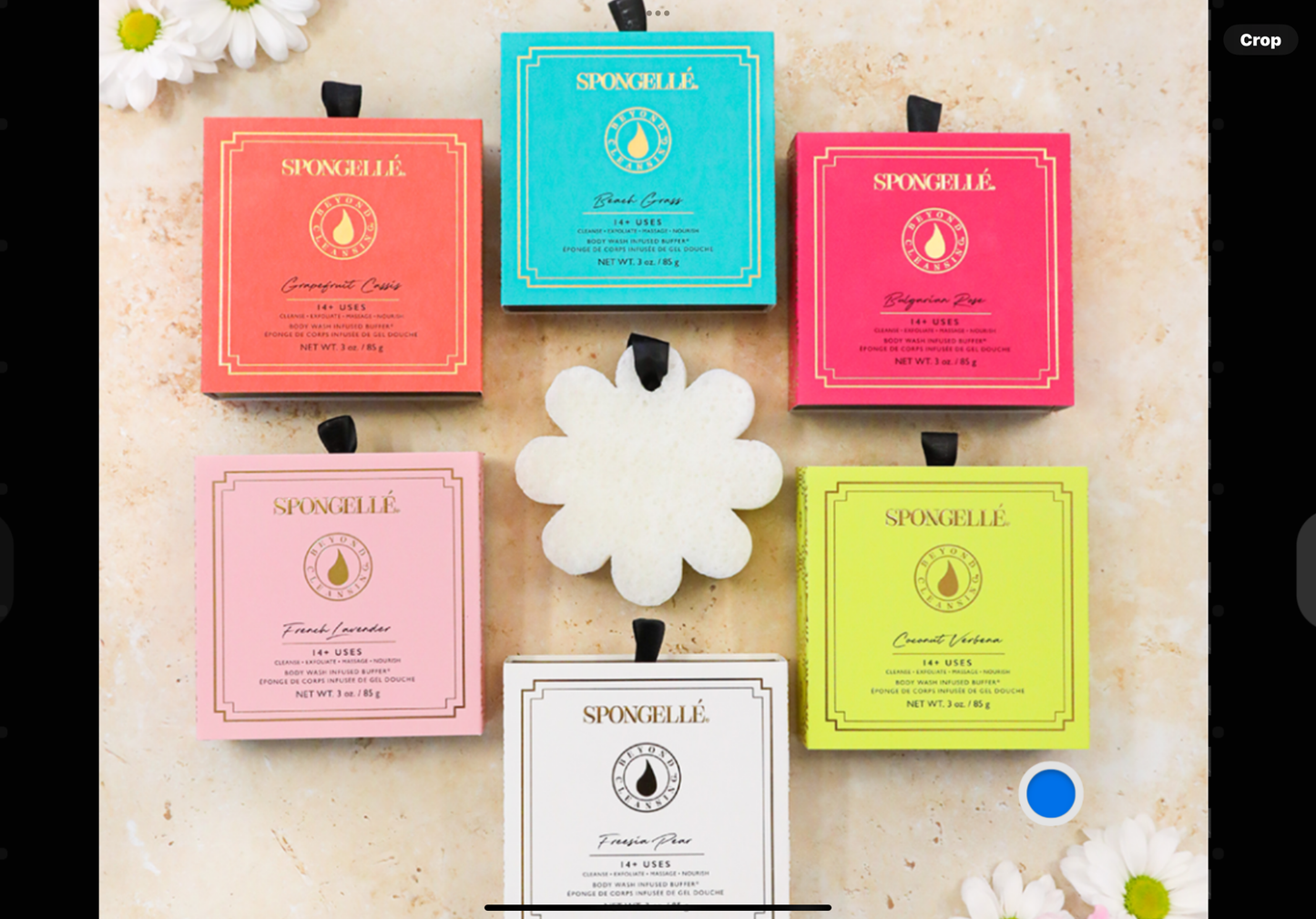 Boxed Flower Spongelle Coconut Verbena