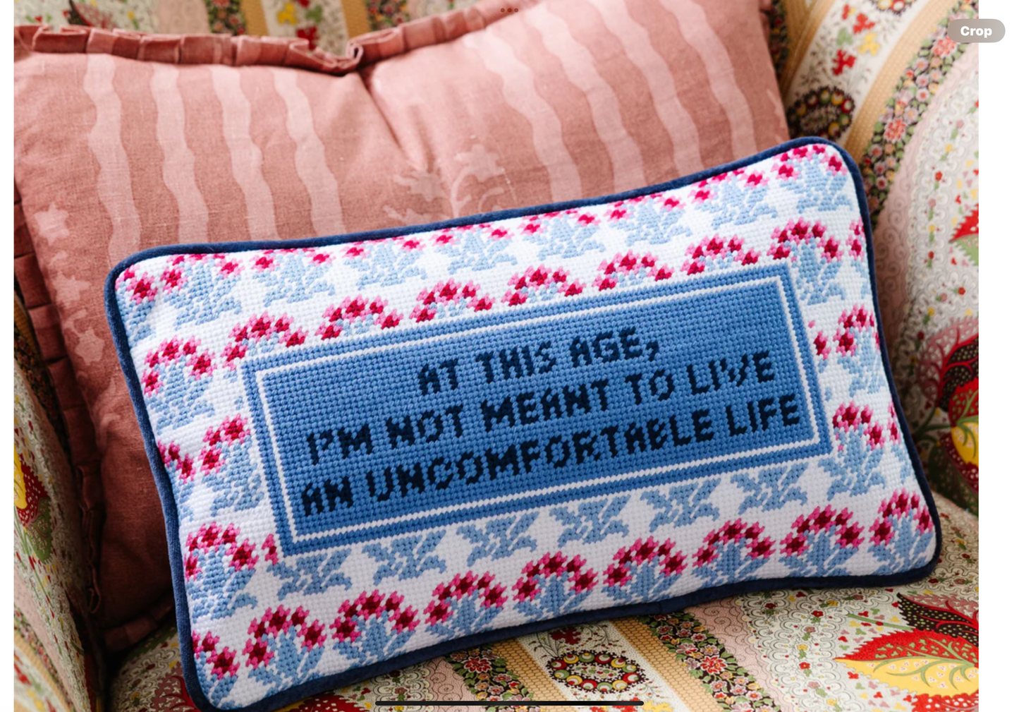 UNCOMFORTABLE NEEDLEPOINT PILLOW