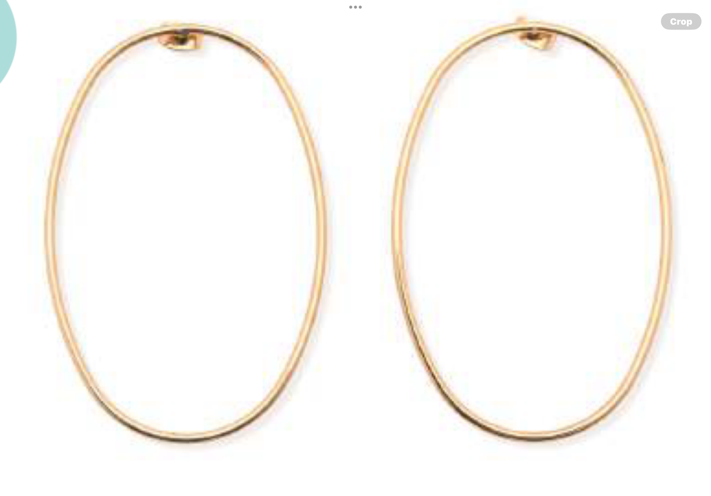 Leslie Curtis Kourtney Oval Hoop Earrings