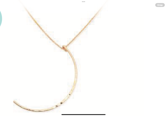Leslie Curtis Lizzie Hammered Half Moon Gold Necklace