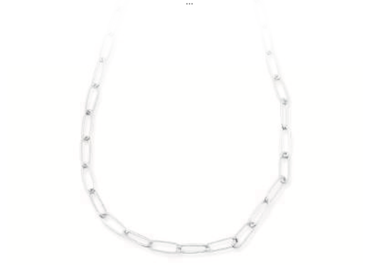 Leslie Curtis Leann Small Paperclip Chain Silver