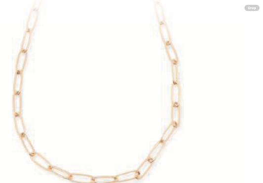 Leslie Curtis Leann Small Paperclip Chain Gold Necklace