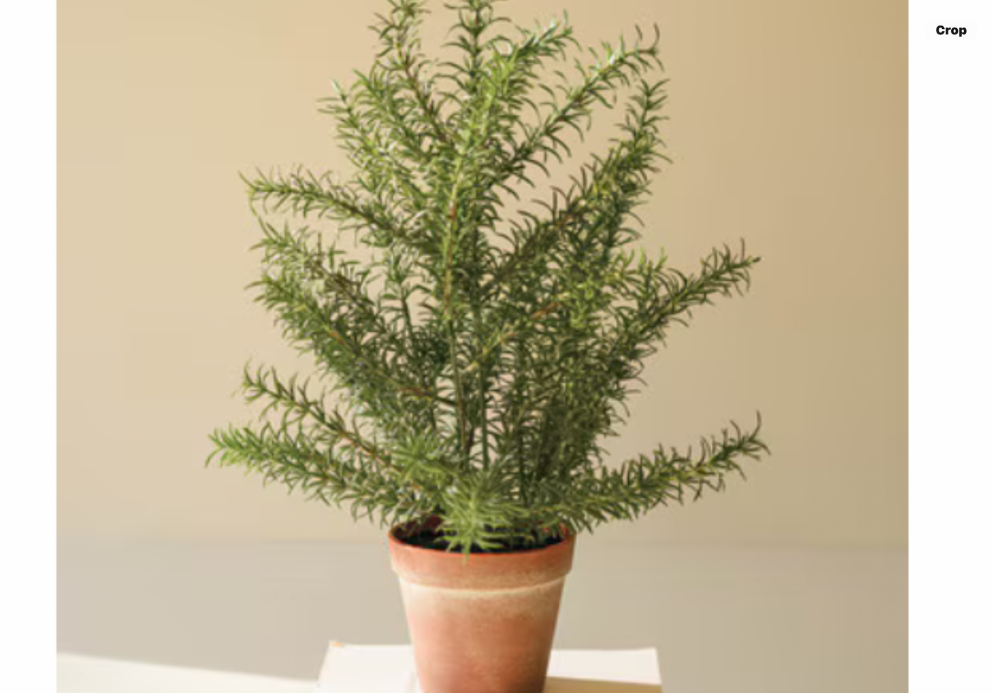 Artificial Rosemary Plant in Faux Terracotta Pot