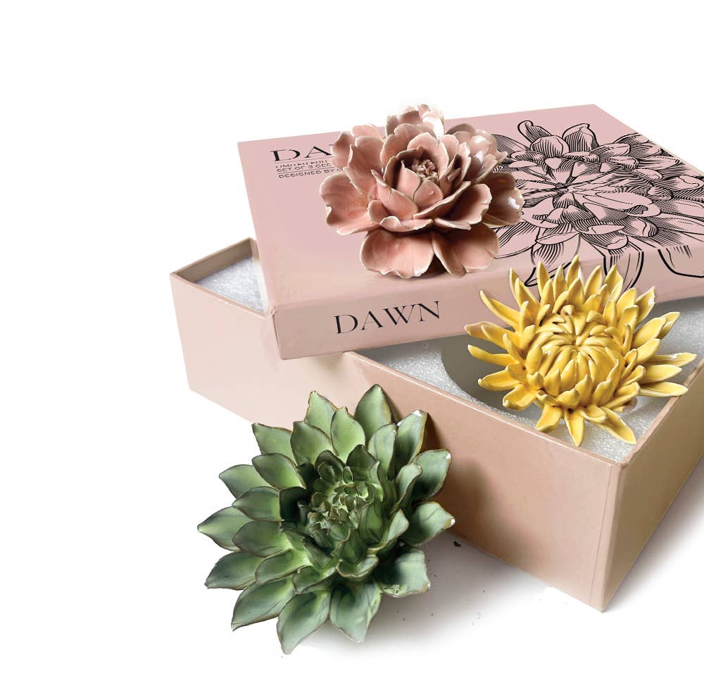 Ceramic Faux Succulents - Flower Gift Box Sets: Dawn